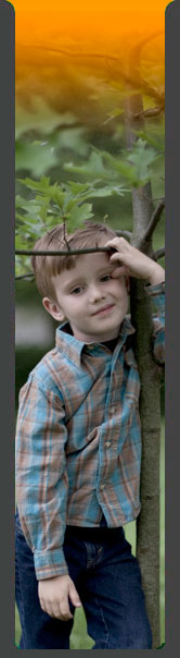 2010 Emmett